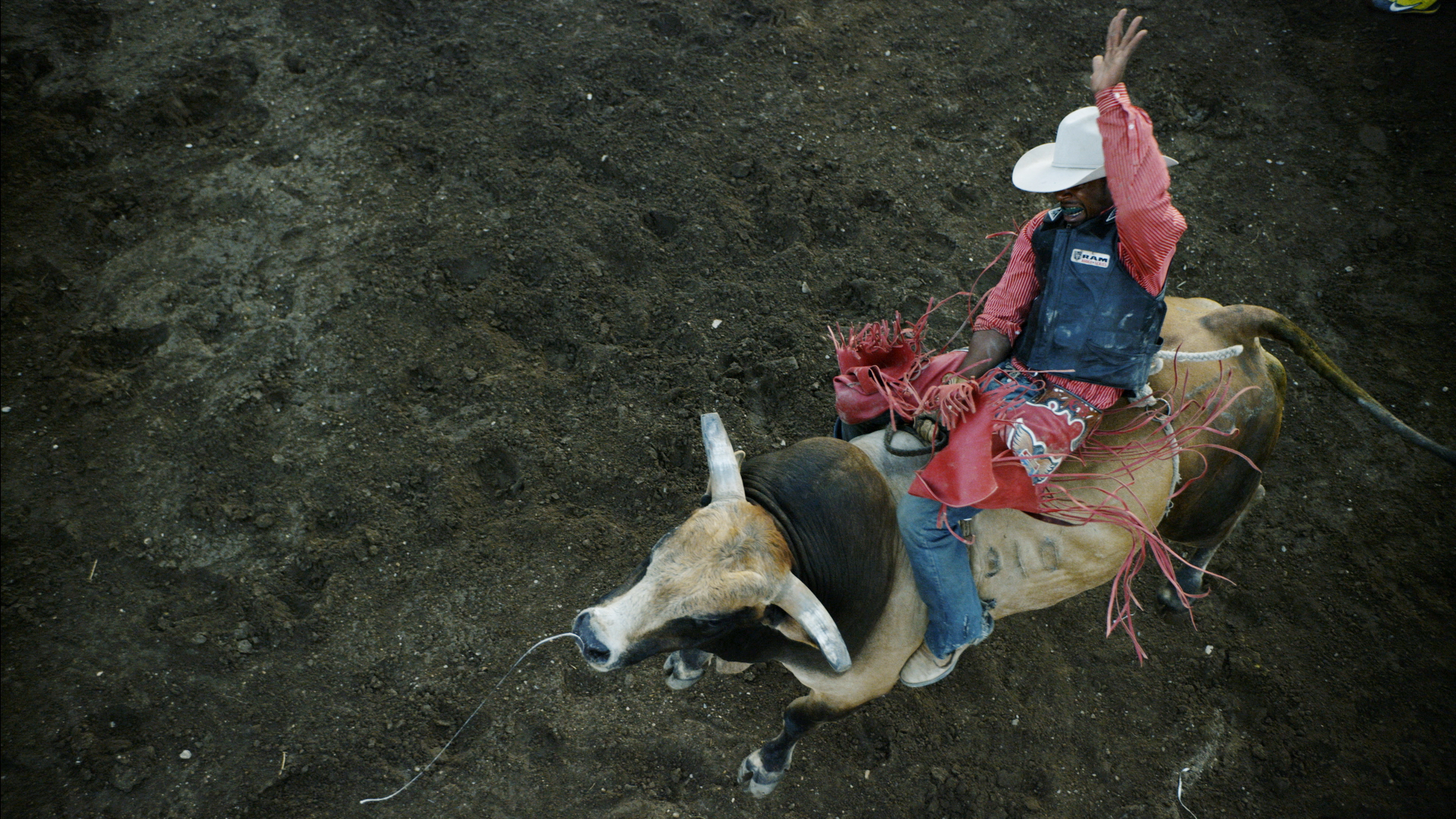 overhead view of a cowboy riding a bucking bull in a rodeo